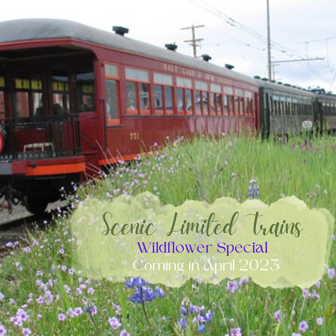 Scenic Limited Trains IG