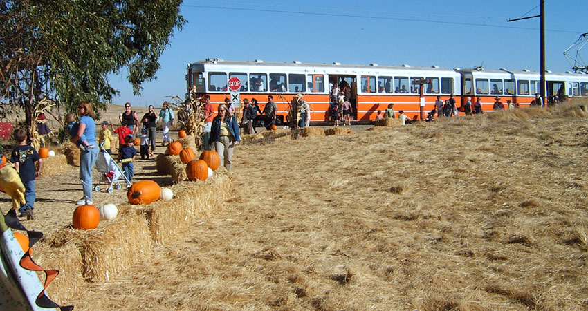 pumpkin festival pumpkins train